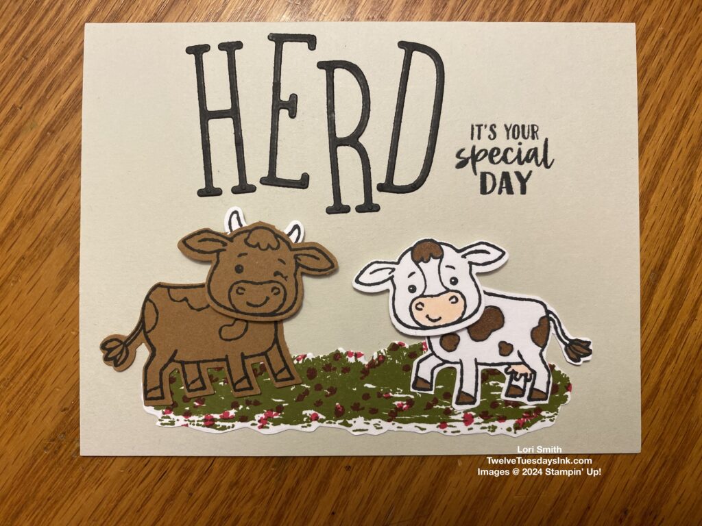 Last Chance, Playing in the Rain, Lovely & Sweet, Cutest Cow