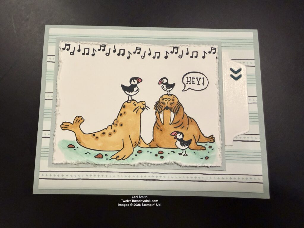 Walruses, Birthday Song, Painted Patch DSP, 2026 Fall/Winter Catalog
